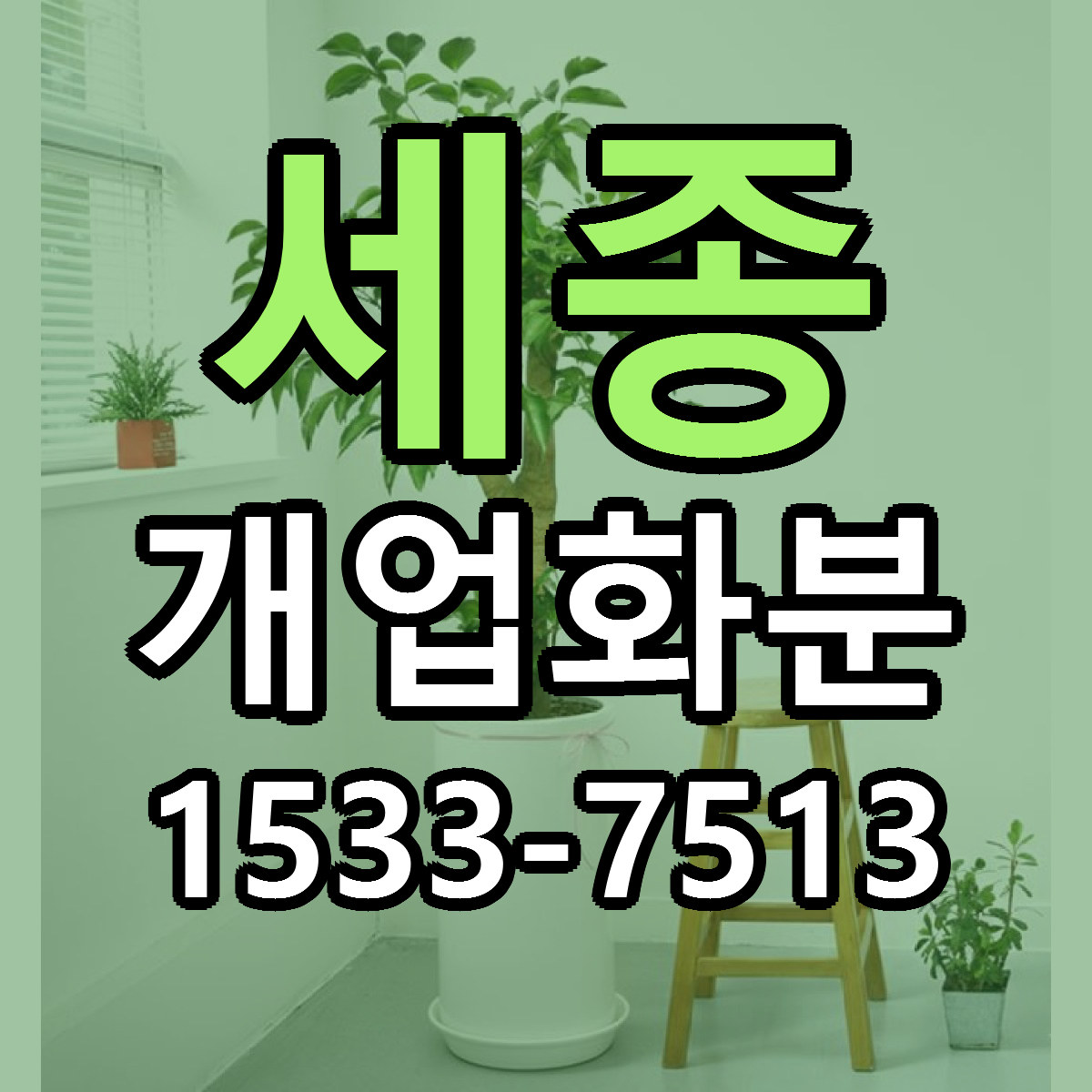세종 개업화분 가격 착한 싼곳 당일배송 안내