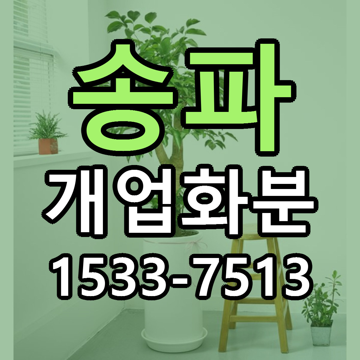 송파 개업화분 저렴한곳 당일배송 가격 만족