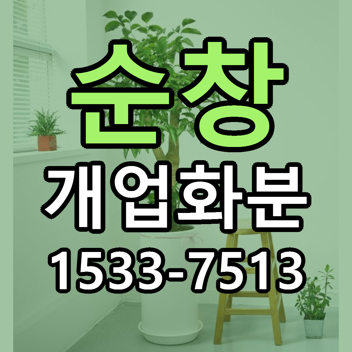 순창 개업화분 저렴한곳 당일배송 가격 만족
