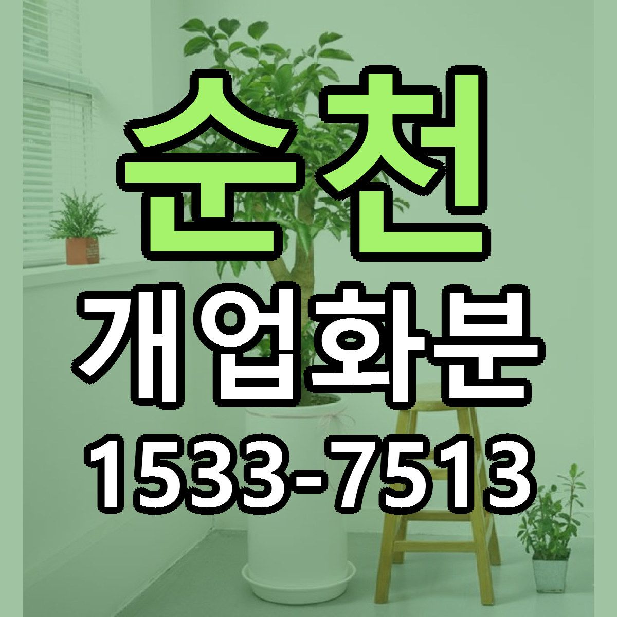 순천 개업화분 근처꽃집 저렴한곳 빠른배송 서비스
