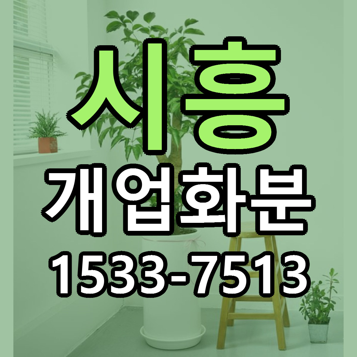 시흥 개업화분 싼곳 당일배송 빠른배송 추천