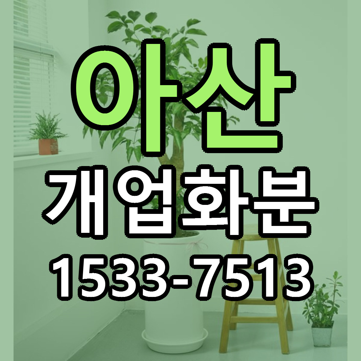 아산 개업화분 빠른배송 리본문구 가격 알뜰 비교