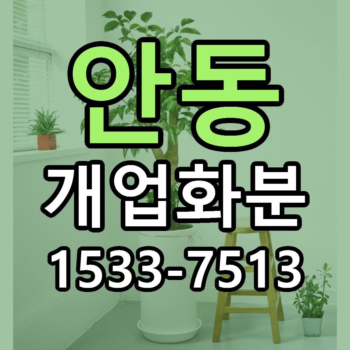 안동 개업화분 당일배송 싼곳 리본문구 안내