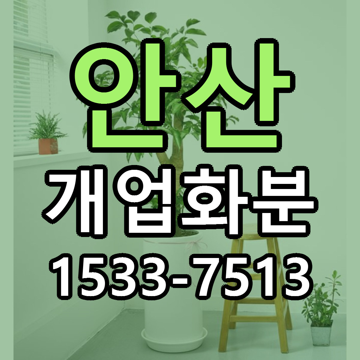 안산 개업화분 근처꽃집 빠른배송 가격 문의