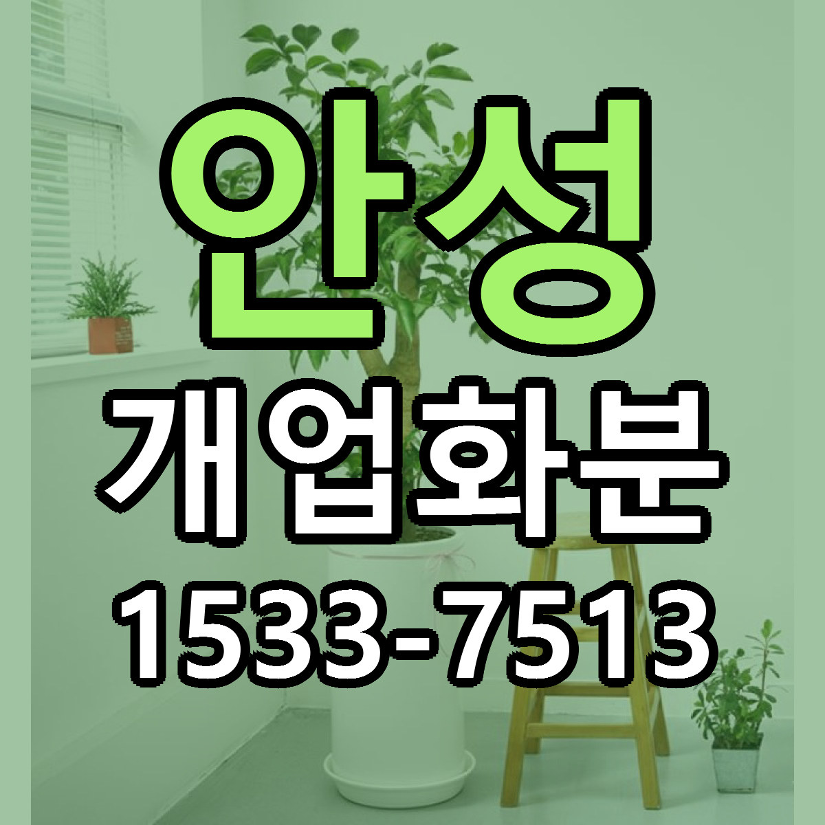 안성 개업화분 싼곳 당일배송 리본문구 작성