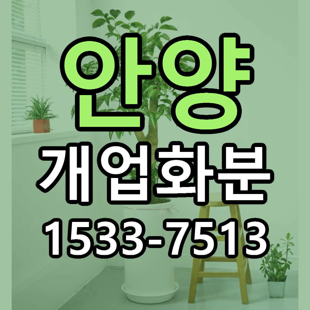 안양 개업화분 당일배송 리본문구 빠른배송 서비스