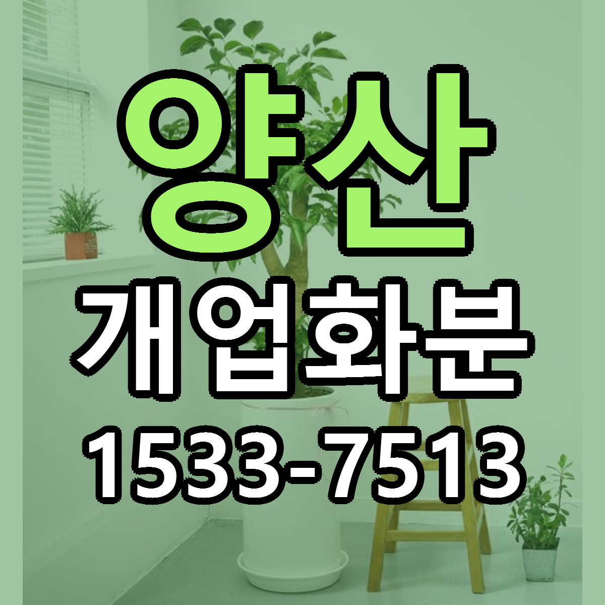 양산 개업화분 당일배송 저렴한곳 리본문구 추천