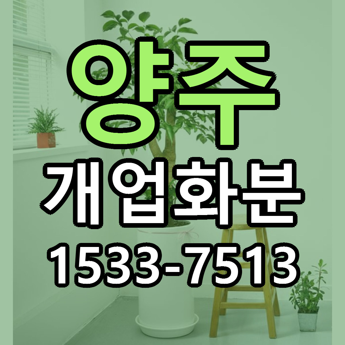 양주 개업화분 싼곳 당일배송 빠른배송 추천