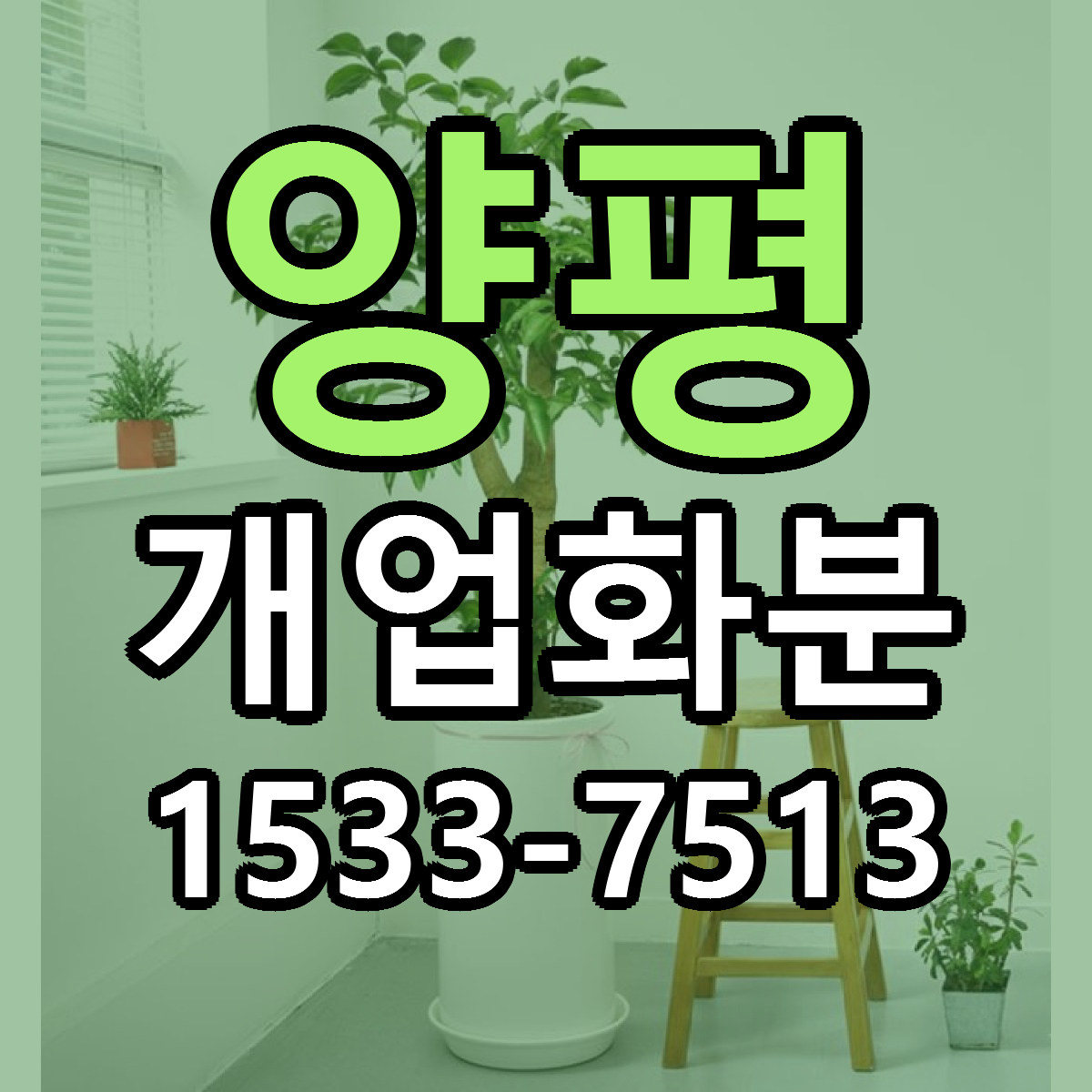 양평 개업화분 근처꽃집 저렴한곳 빠른배송 서비스