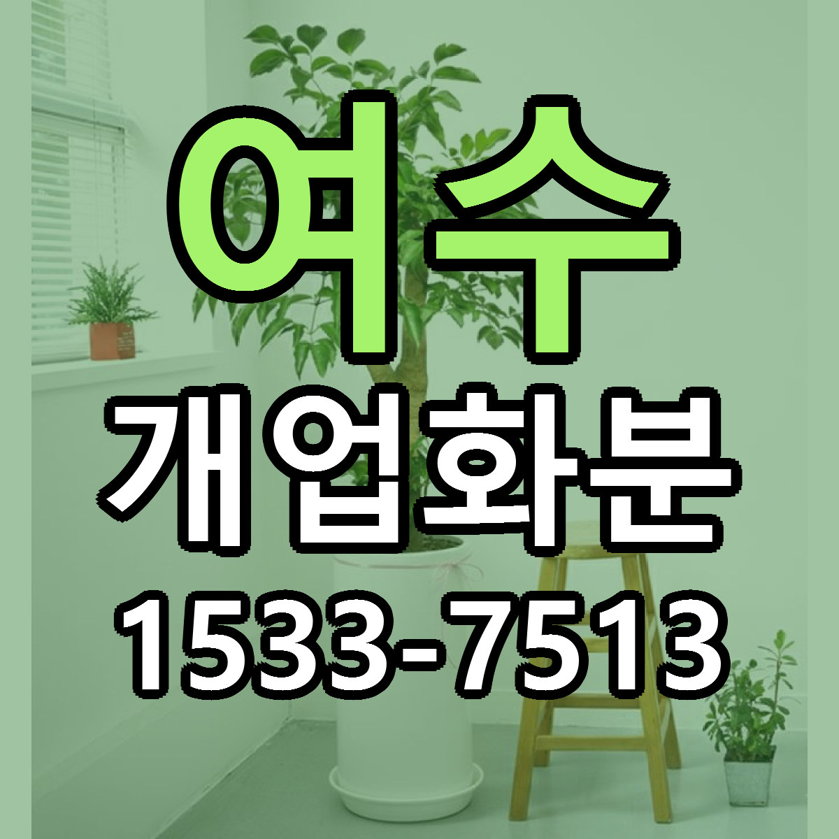 여수 개업화분 빠른배송 근처꽃집 가격 비교