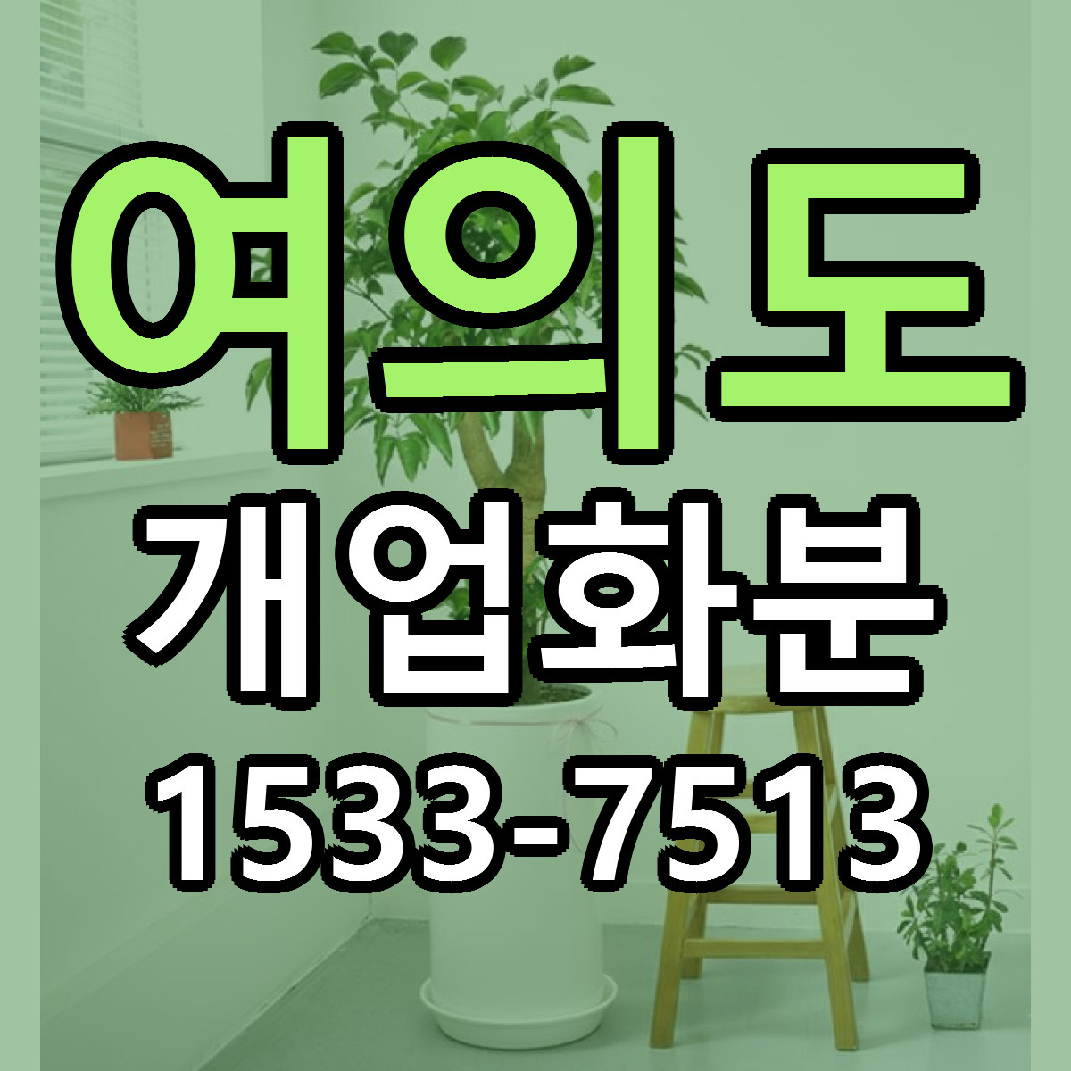 여의도 개업화분 근처꽃집 가격 저렴한곳 안내