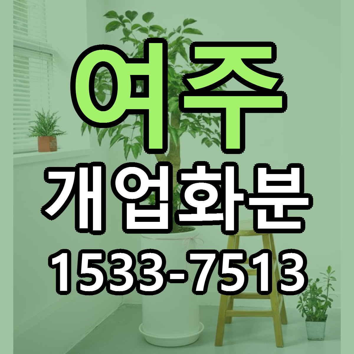 여주 개업화분 근처꽃집 싼곳 빠른배송 안내