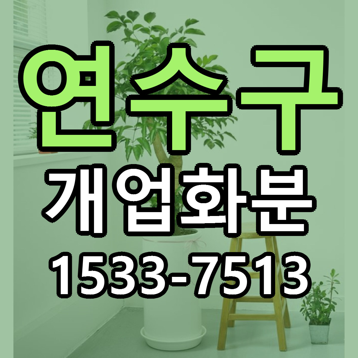 연수구 개업화분 근처꽃집 가격 저렴한곳 안내