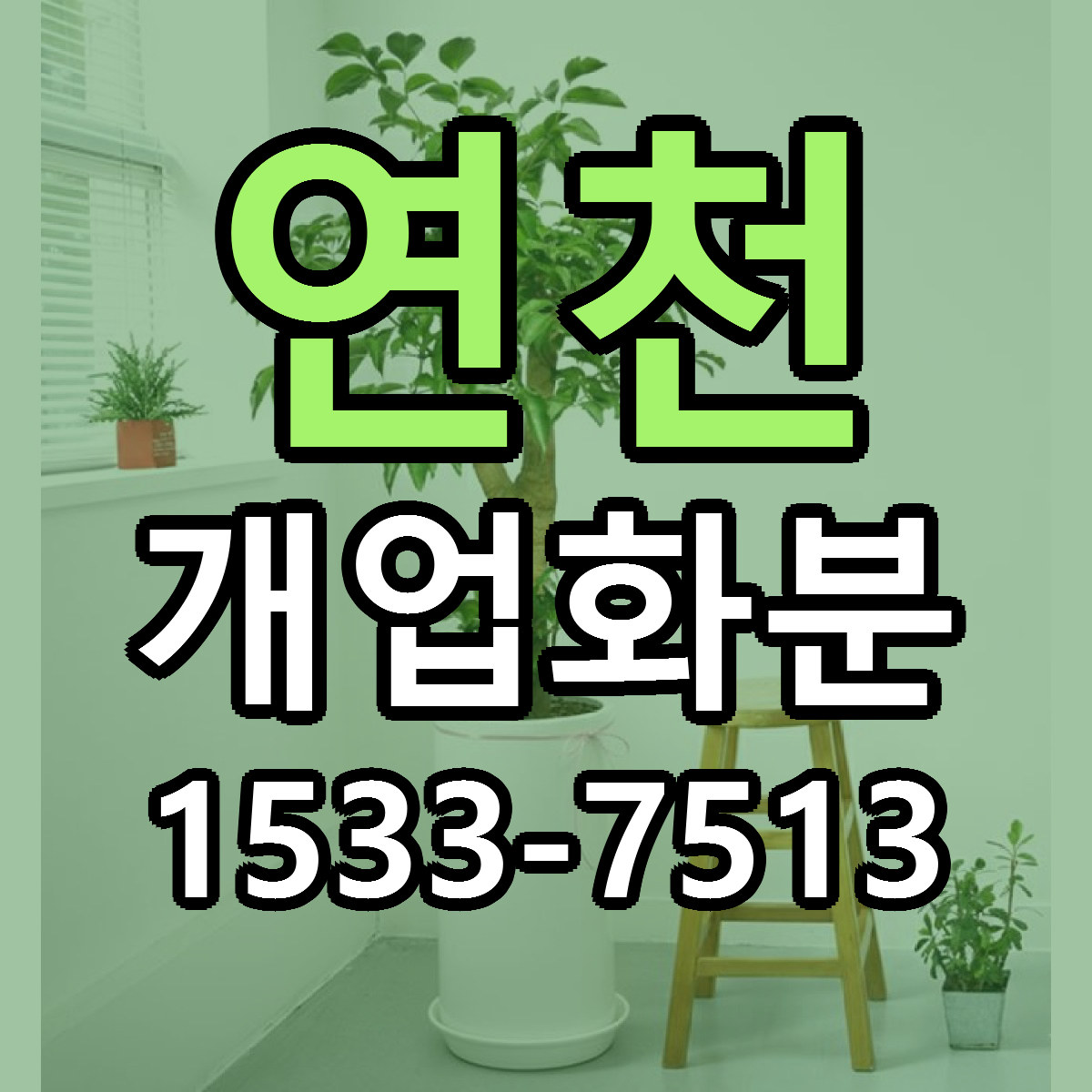 연천 개업화분 빠른배송 리본문구 근처꽃집 예약