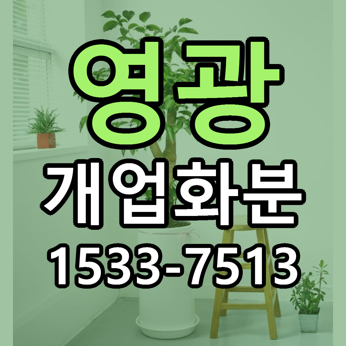 영광 개업화분 리본문구 근처꽃집 저렴한곳 예약