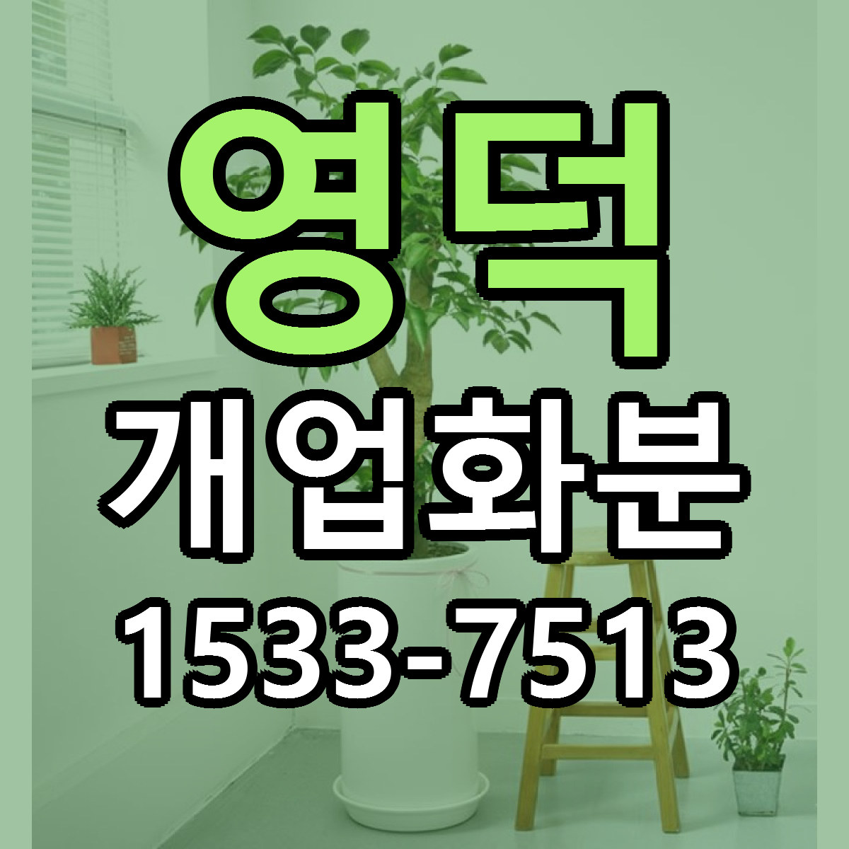 영덕 개업화분 근처꽃집 가격 저렴한곳 안내