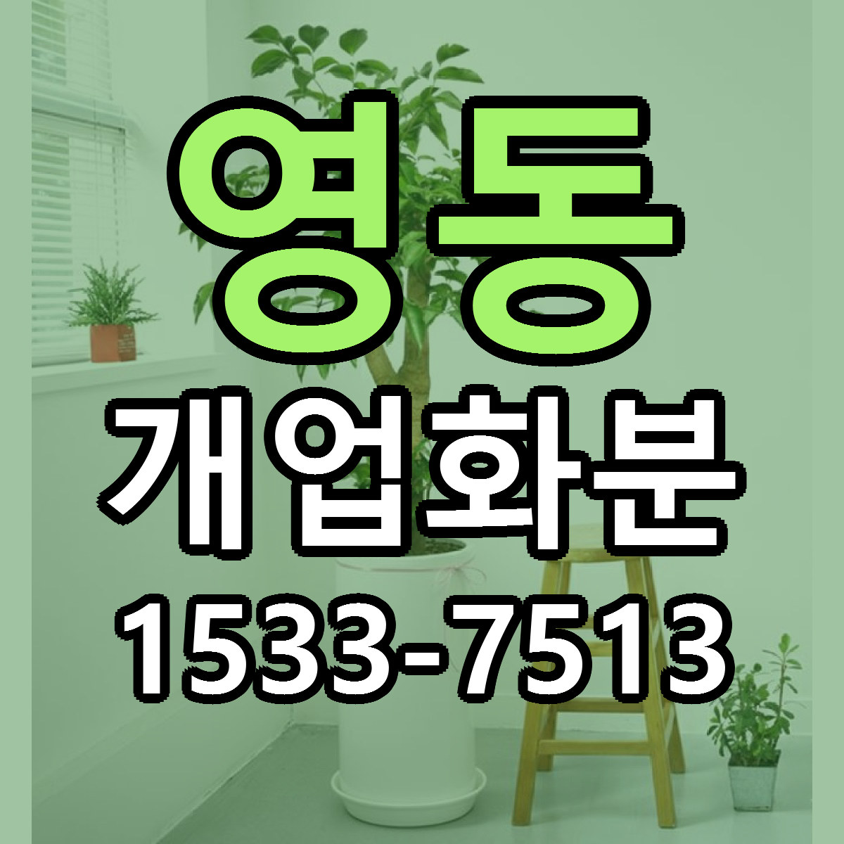 영동 개업화분 빠른배송 저렴한곳 가격 정리