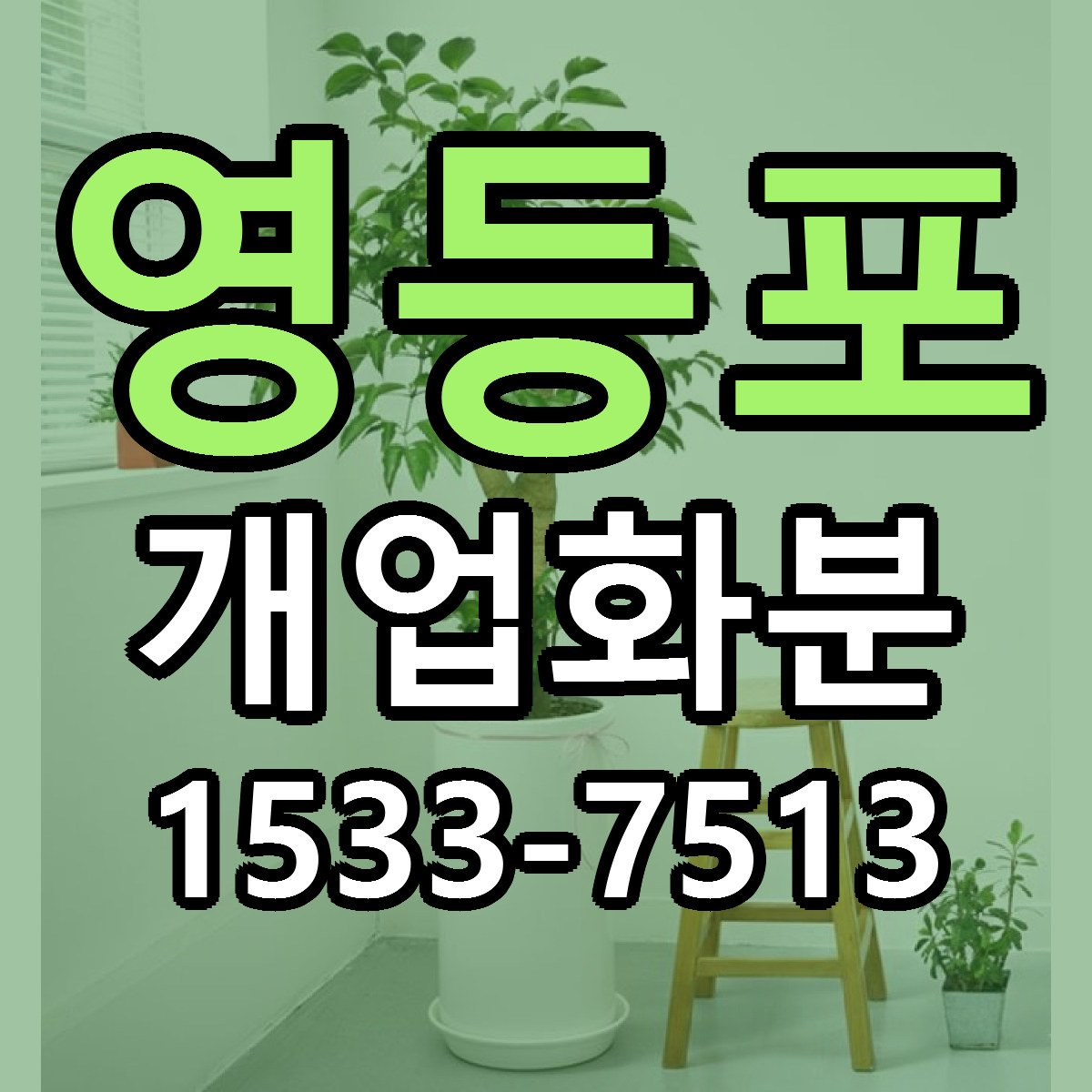 영등포 개업화분 빠른배송 저렴한곳 가격 정리
