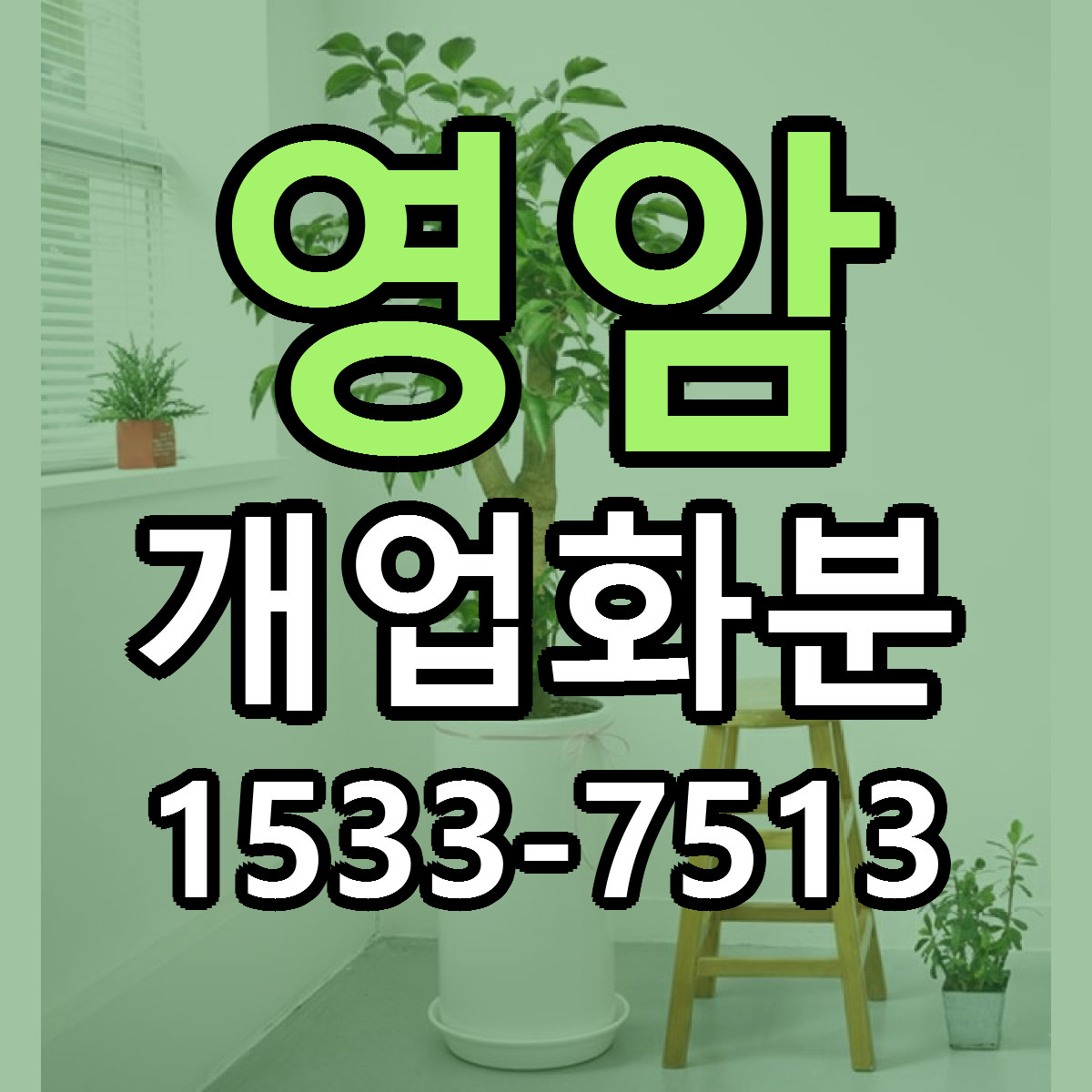 영암 개업화분 싼곳 당일배송 빠른배송 추천