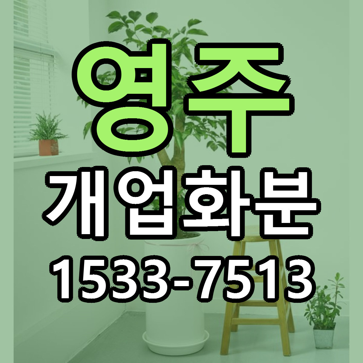 영주 개업화분 당일배송 저렴한곳 리본문구 추천