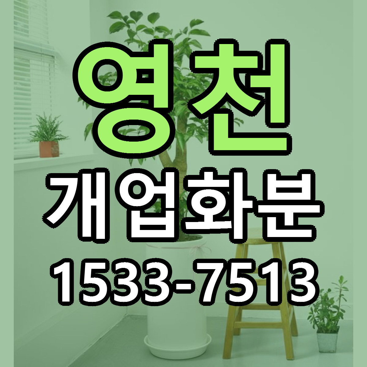 영천 개업화분 근처꽃집 당일배송 싼곳 추천