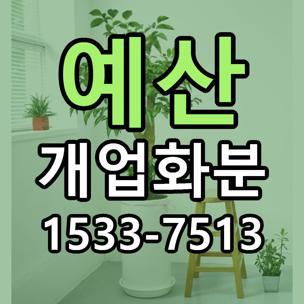 예산 개업화분 빠른배송 리본문구 가격 알뜰 비교