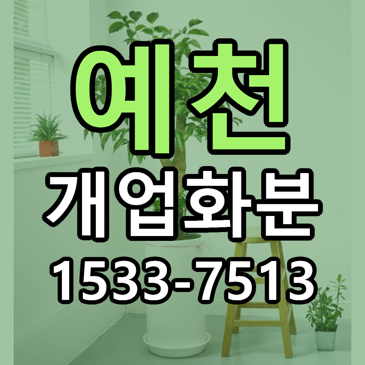 예천 개업화분 빠른배송 저렴한곳 가격 정리