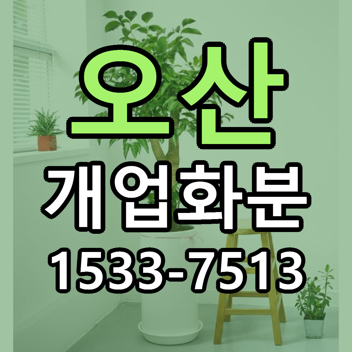 오산 개업화분 빠른배송 리본문구 근처꽃집 예약