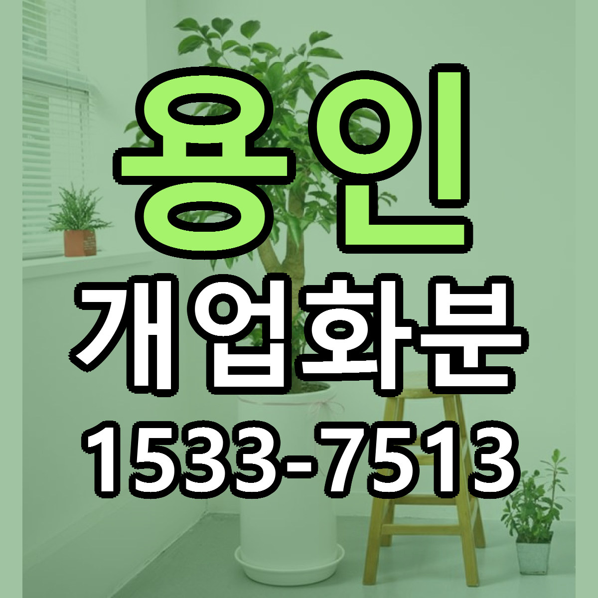 용인 개업화분 당일배송 리본문구 싼곳 찾기