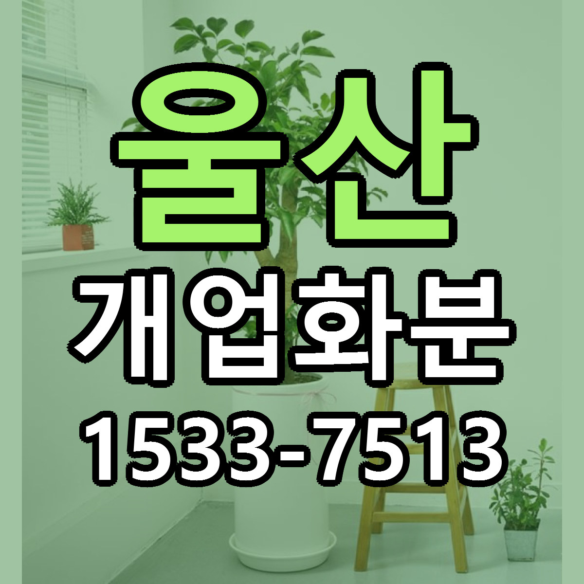 울산 개업화분 근처꽃집 가격 저렴한곳 안내