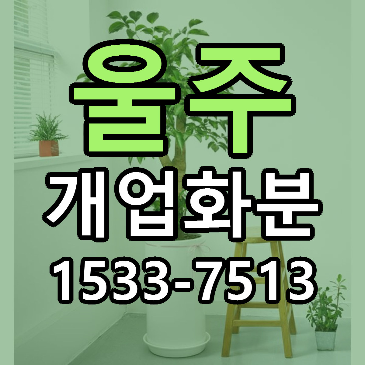울주 개업화분 빠른배송 가격 저렴한곳 찾기