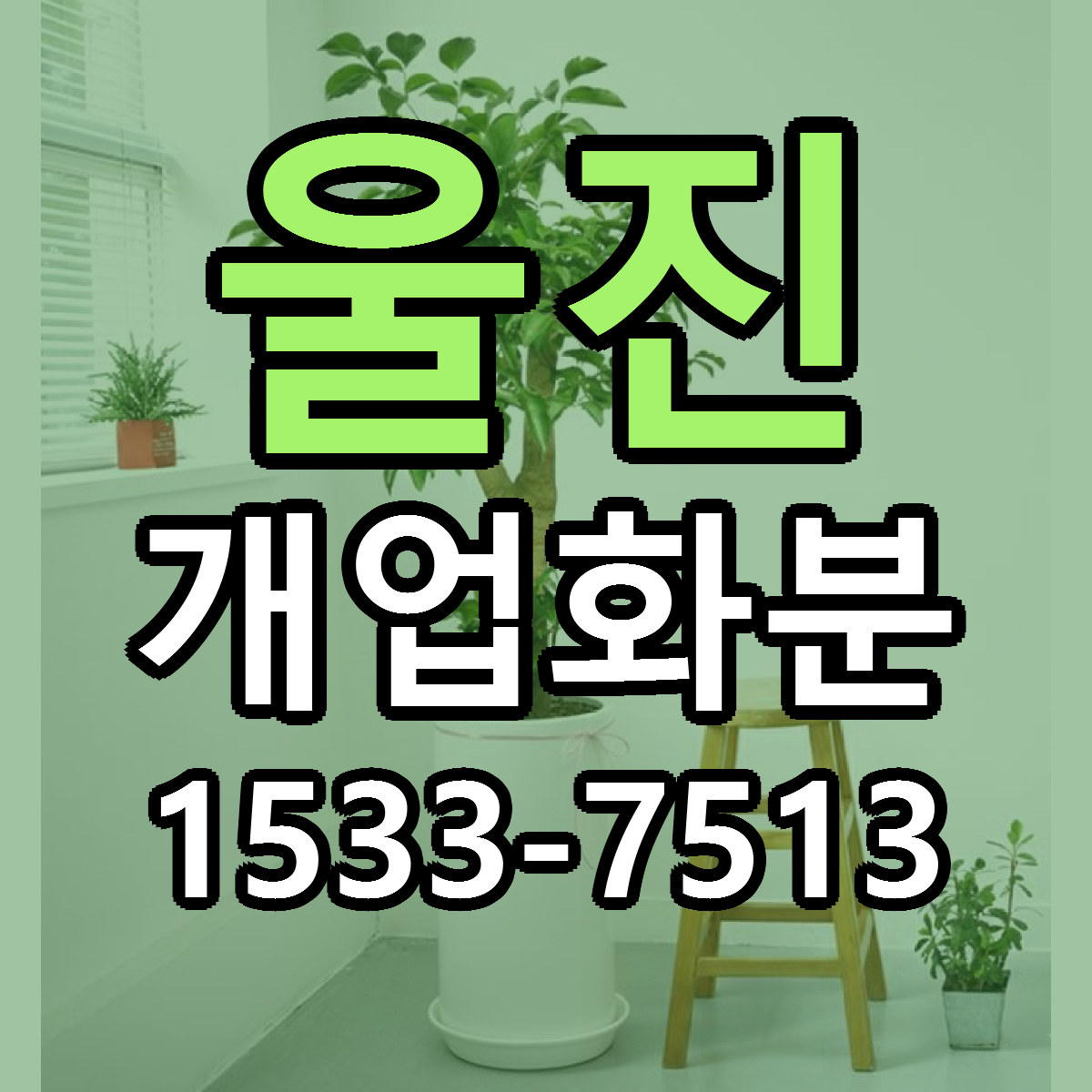 울진 개업화분 싼곳 빠른배송 리본문구 무료