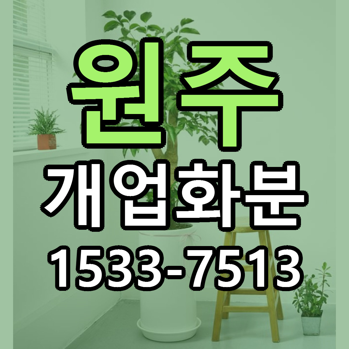 원주 개업화분 빠른배송 리본문구 근처꽃집 예약
