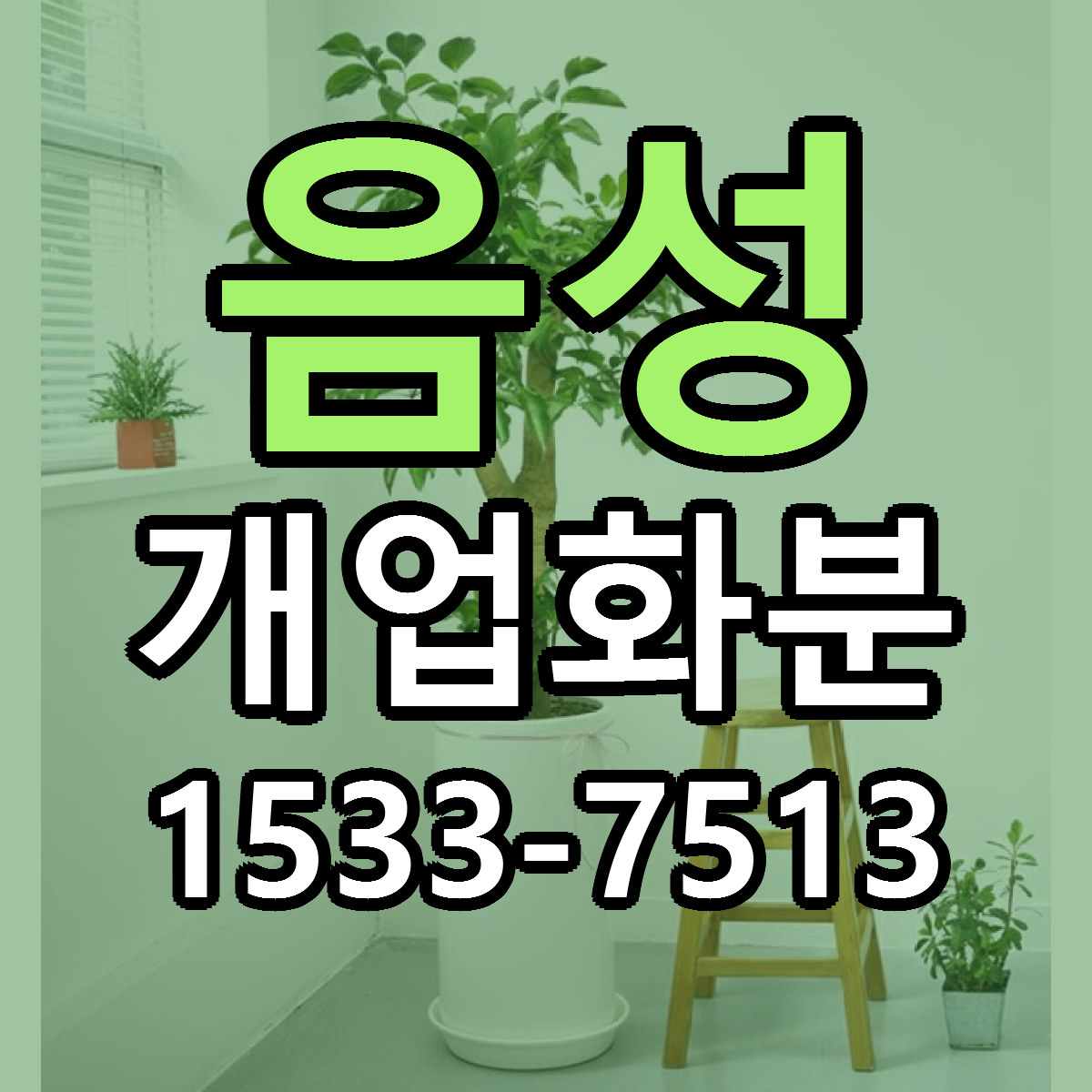 음성 개업화분 가격 착한 싼곳 당일배송 안내