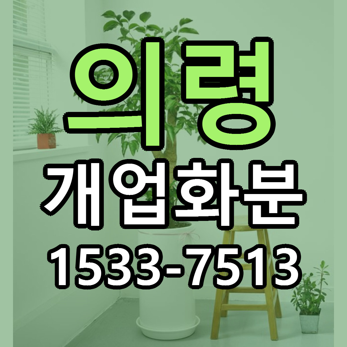 의령 개업화분 당일배송 빠른배송 싼곳 찾기