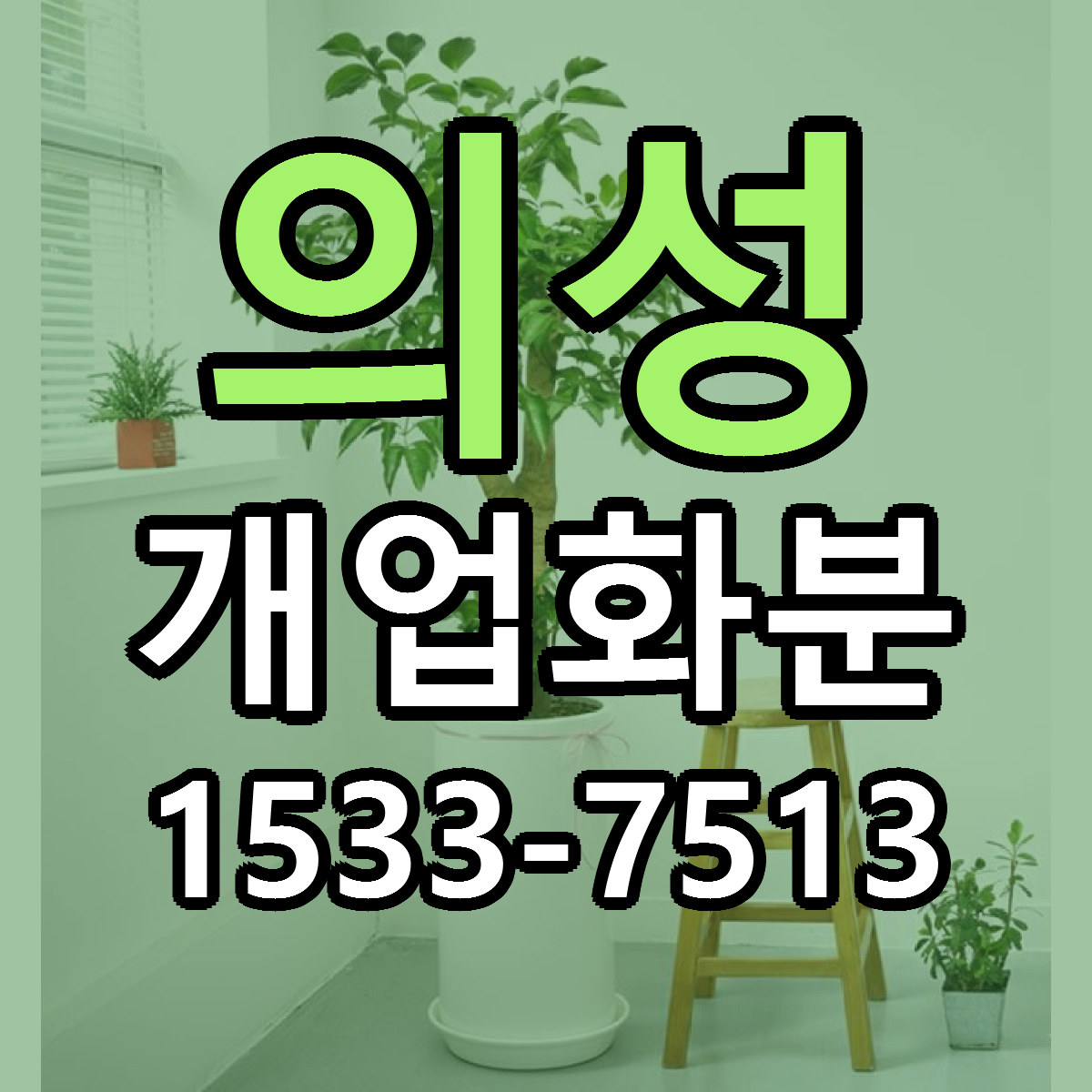 의성 개업화분 당일배송 빠른배송 싼곳 찾기