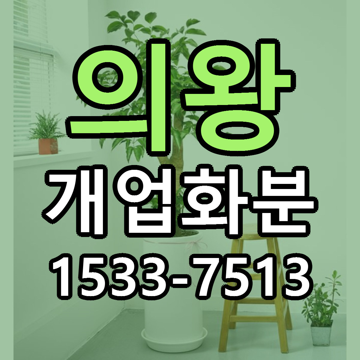 의왕 개업화분 당일배송 리본문구 빠른배송 서비스