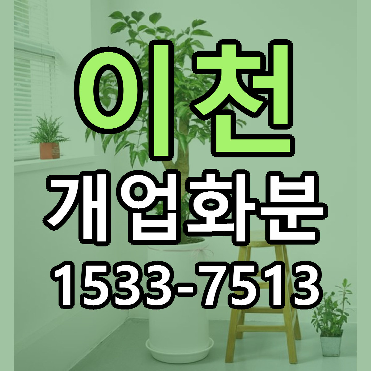 이천 개업화분 싼곳 빠른배송 리본문구 무료