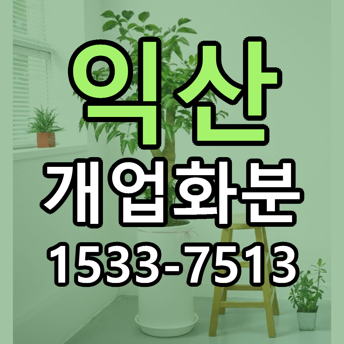 익산 개업화분 당일배송 근처꽃집 싼곳 비교