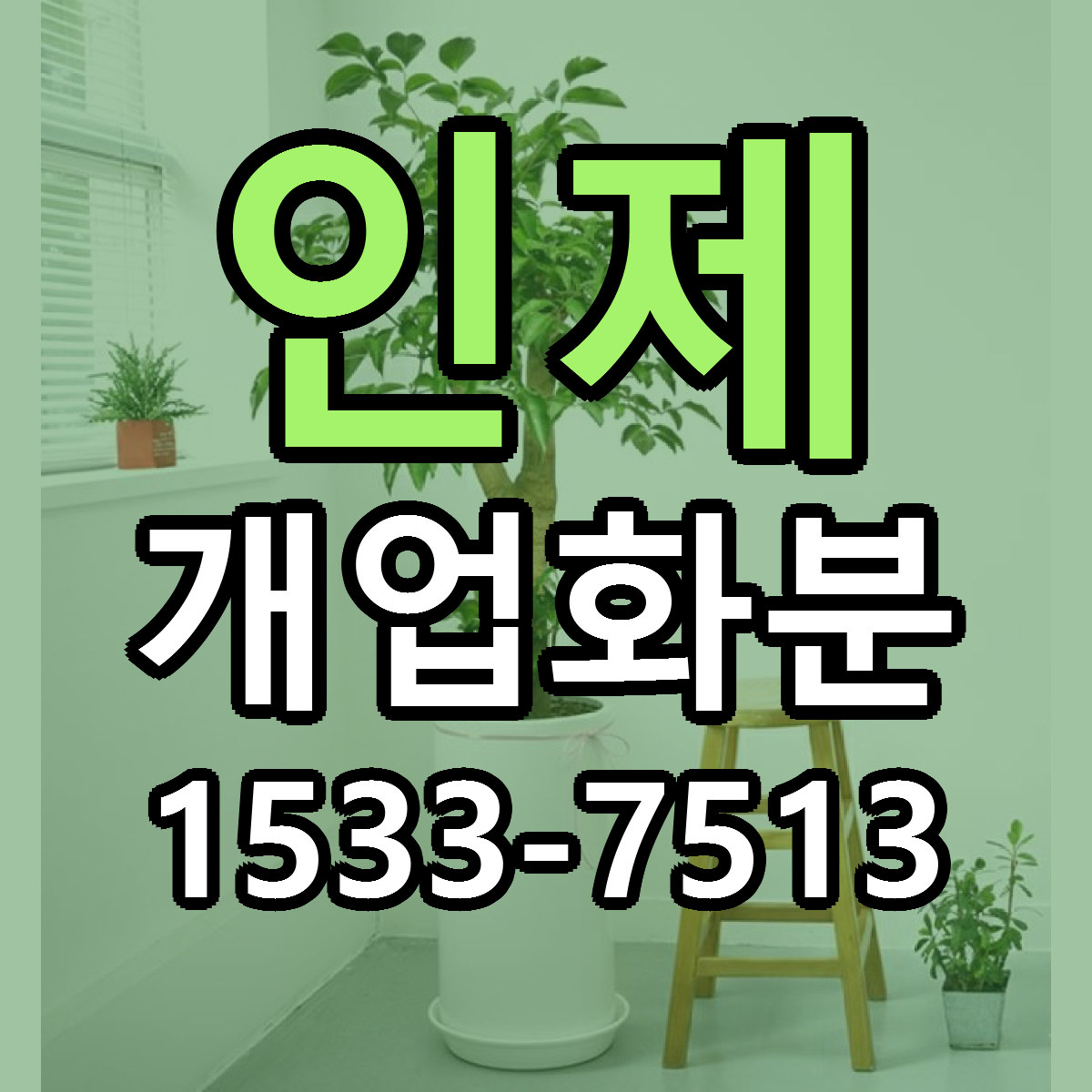 인제 개업화분 빠른배송 리본문구 가격 알뜰 비교