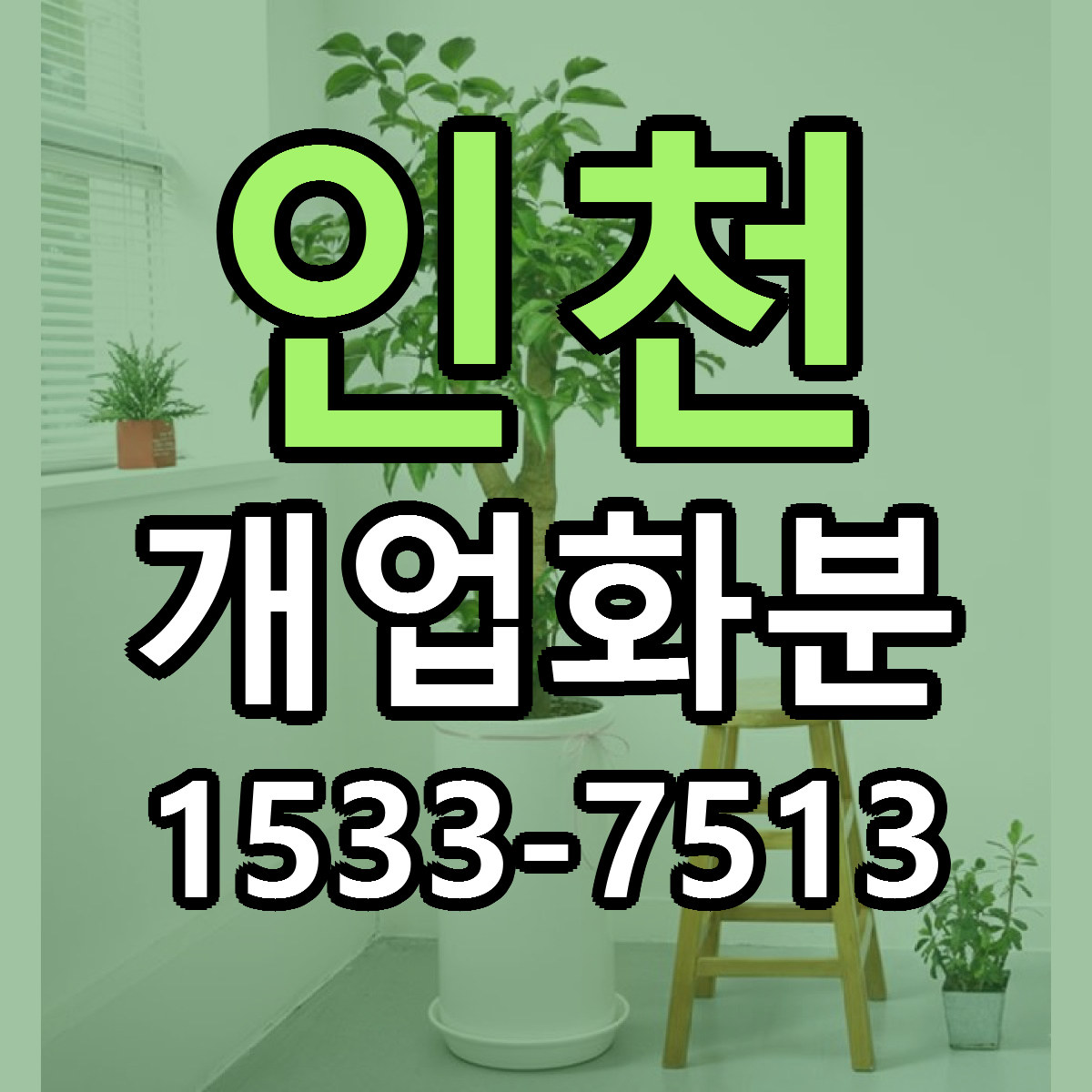 인천 개업화분 빠른배송 리본문구 근처꽃집 예약