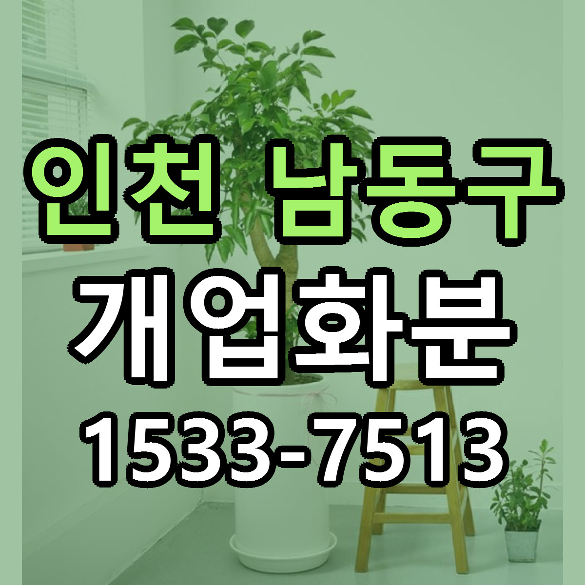 인천 남동구 개업화분 당일배송 리본문구 싼곳 찾기