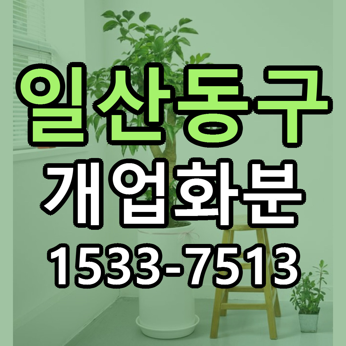 일산동구 개업화분 당일배송 빠른배송 싼곳 찾기