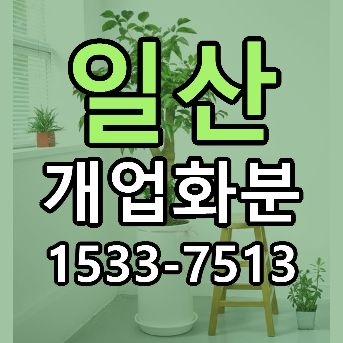 일산 개업화분 근처꽃집 가격 저렴한곳 안내
