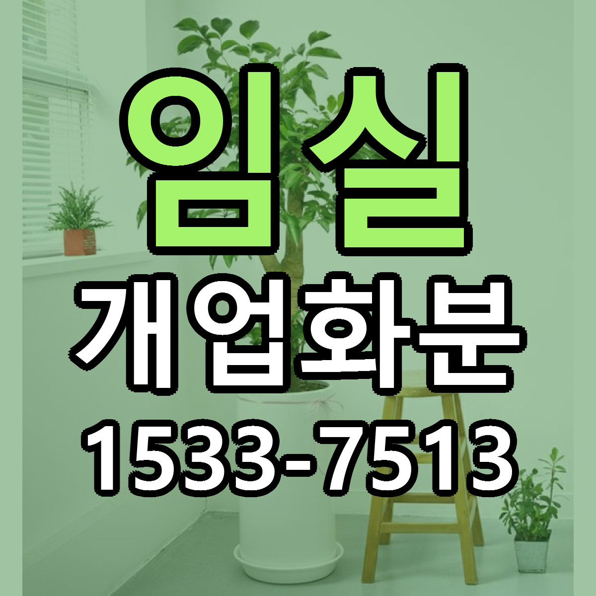 임실 개업화분 리본문구 근처꽃집 저렴한곳 예약