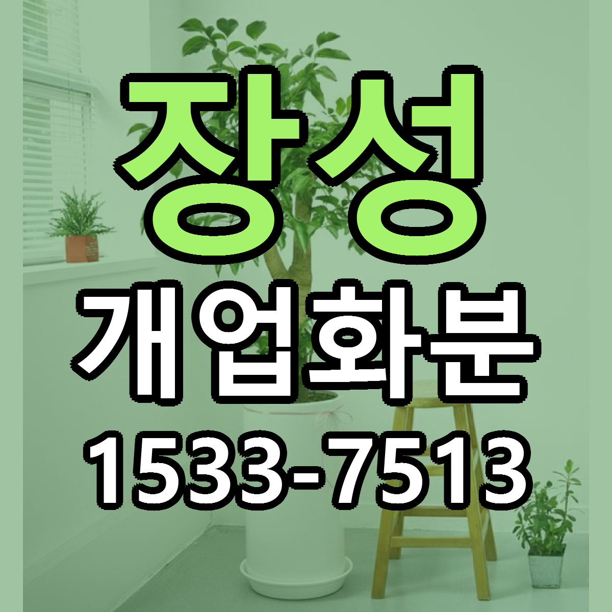 장성 개업화분 근처꽃집 저렴한곳 빠른배송 서비스