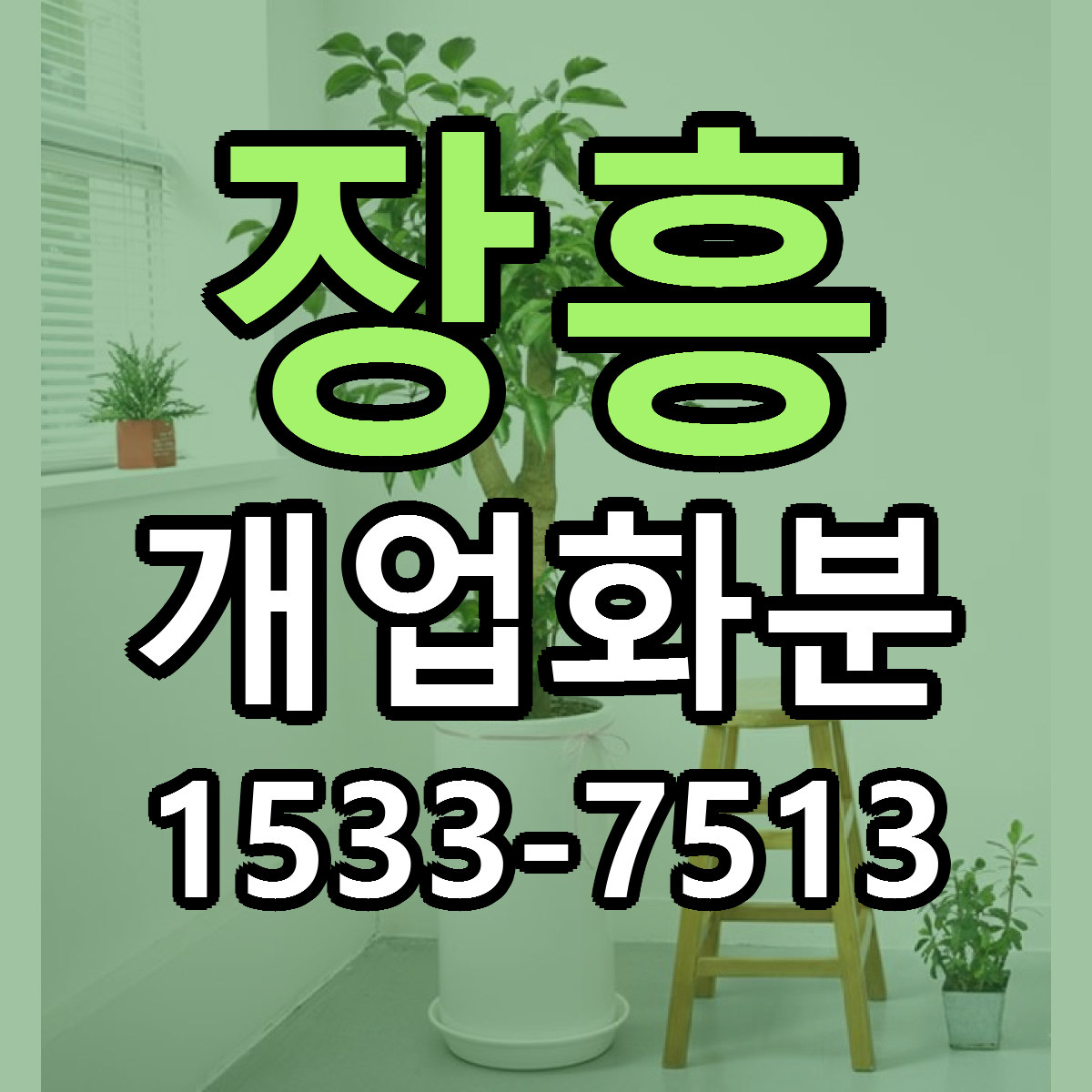 장흥 개업화분 빠른배송 리본문구 근처꽃집 예약