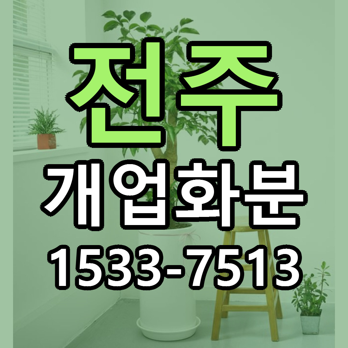 전주 개업화분 빠른배송 가격 저렴한곳 찾기