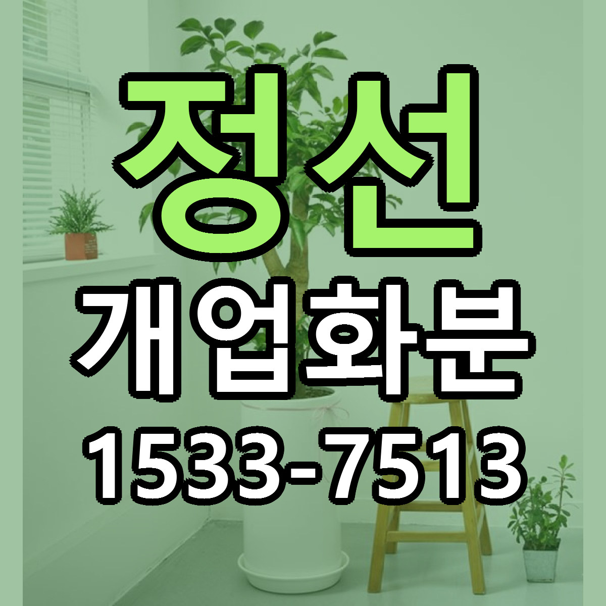 정선 개업화분 당일배송 싼곳 리본문구 안내
