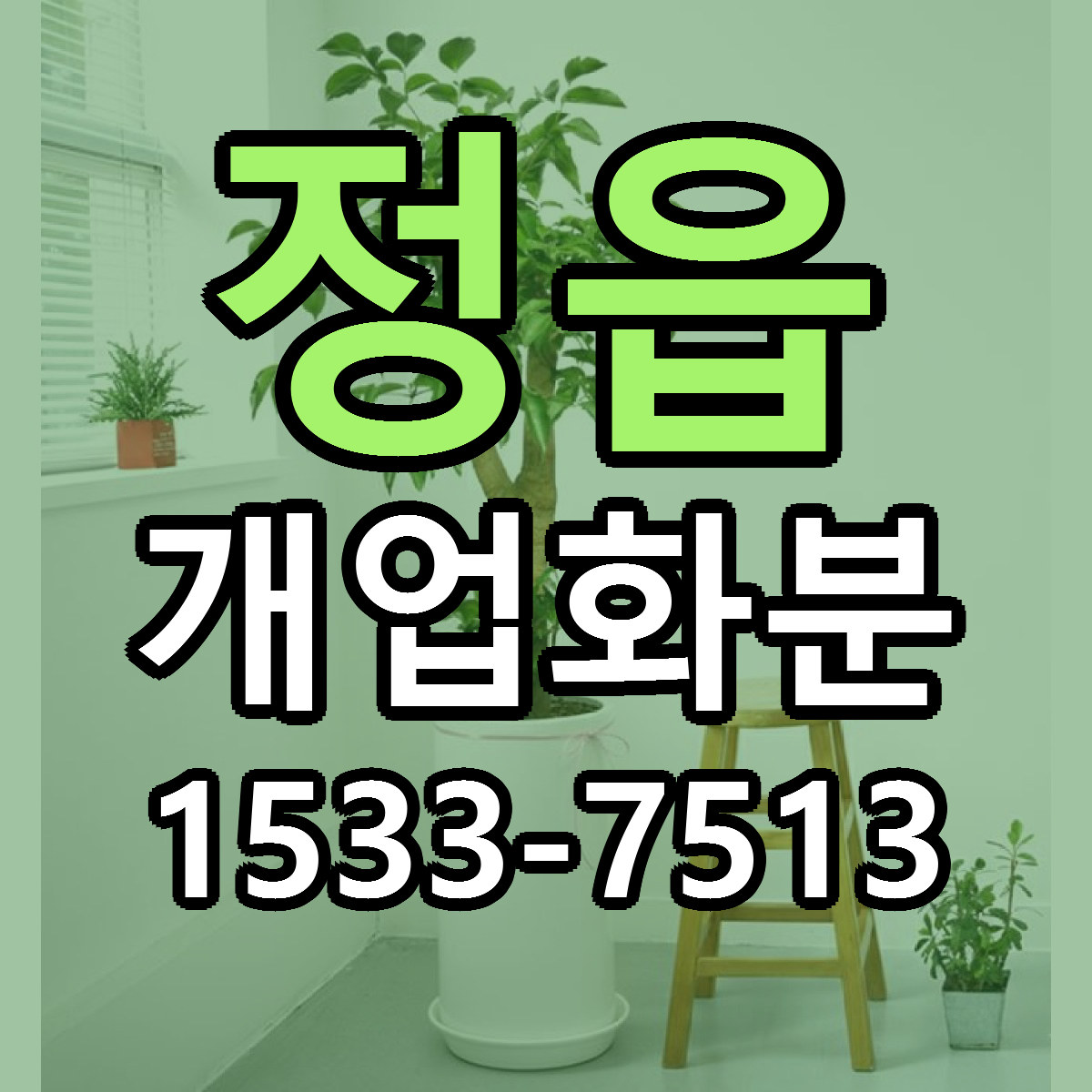 정읍 개업화분 근처꽃집 가격 저렴한곳 안내